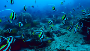 great blue hole in belize