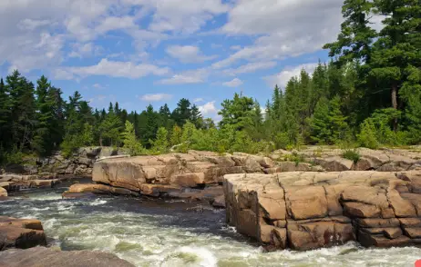 best campgrounds in new brunswick