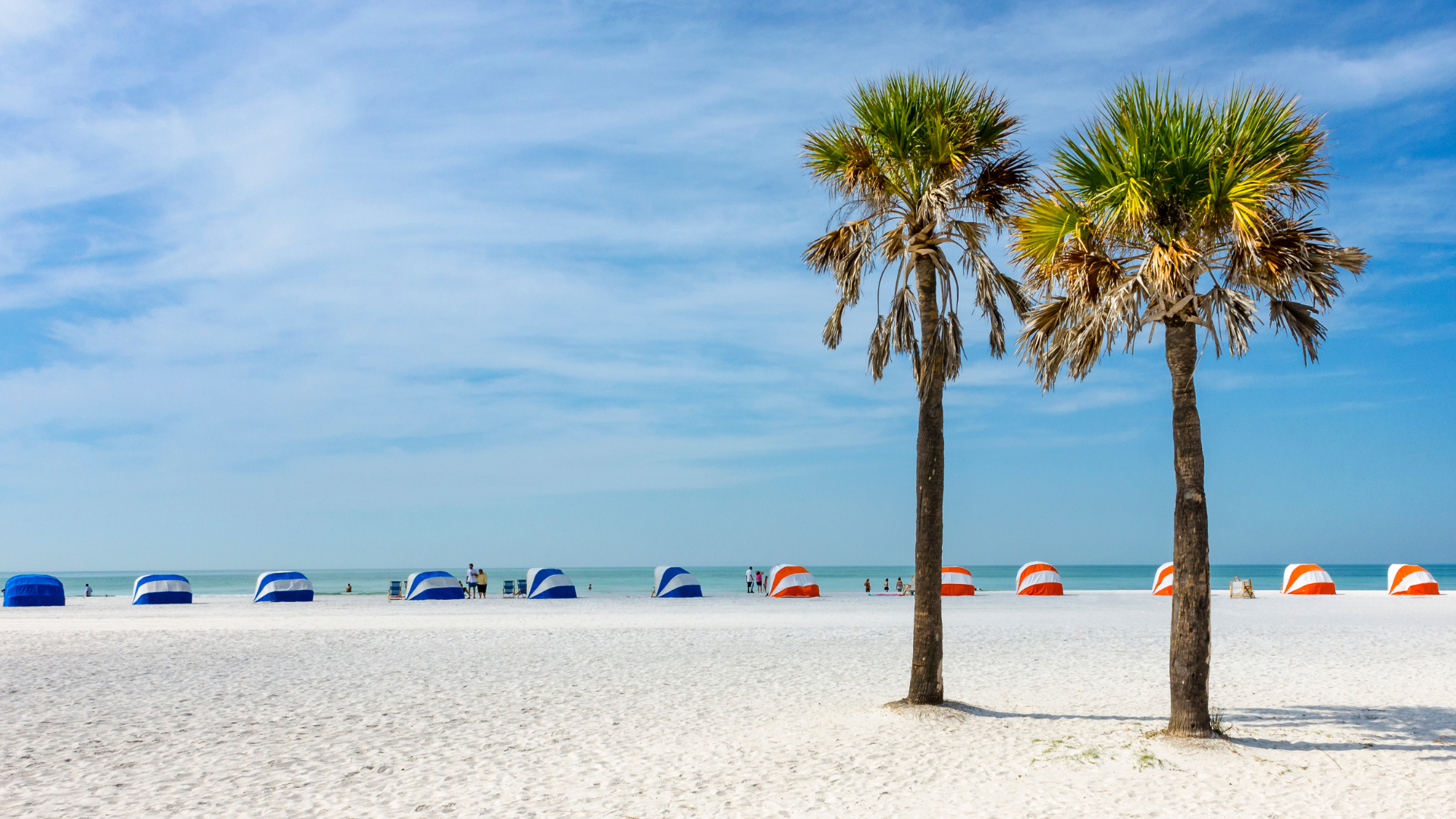5 Best Family Resorts in Clearwater Florida – Your Ultimate Vacation Guide
