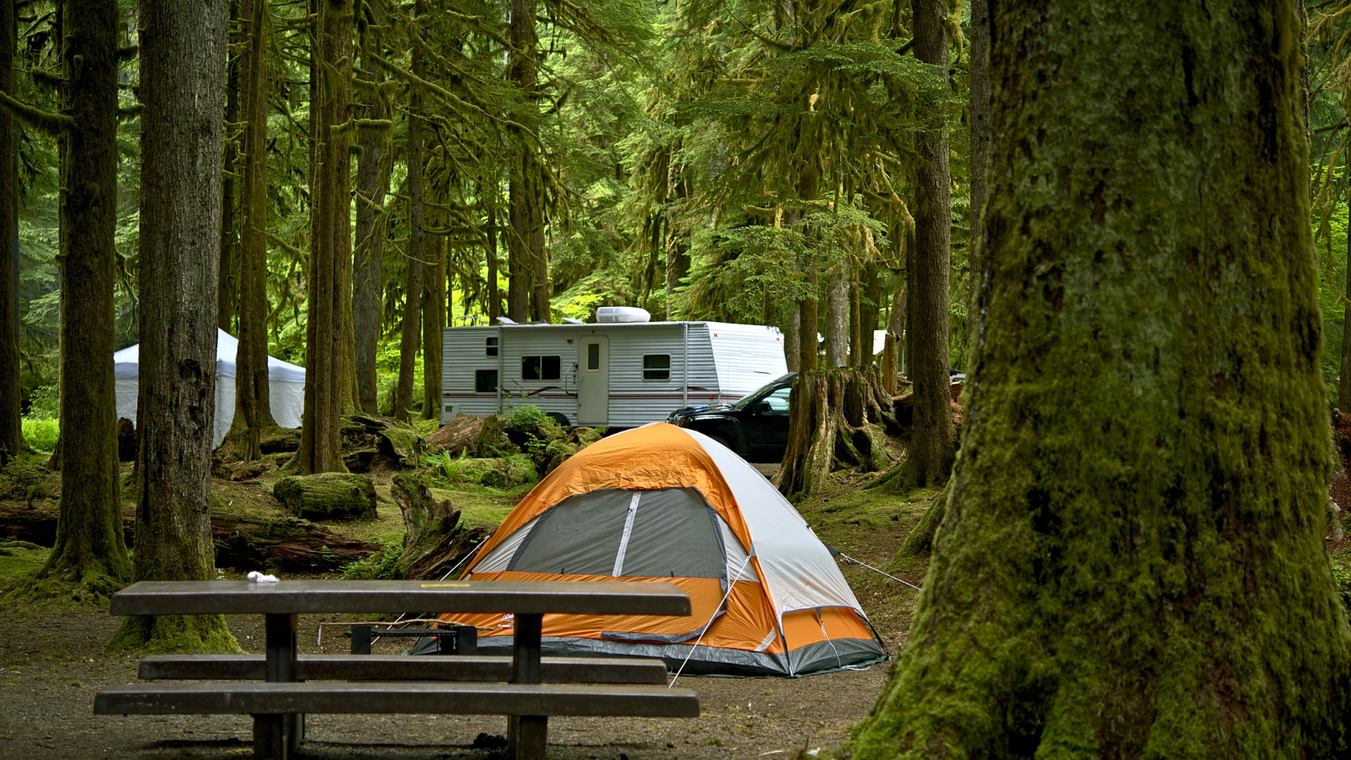 10 Best Campgrounds in the Smokies