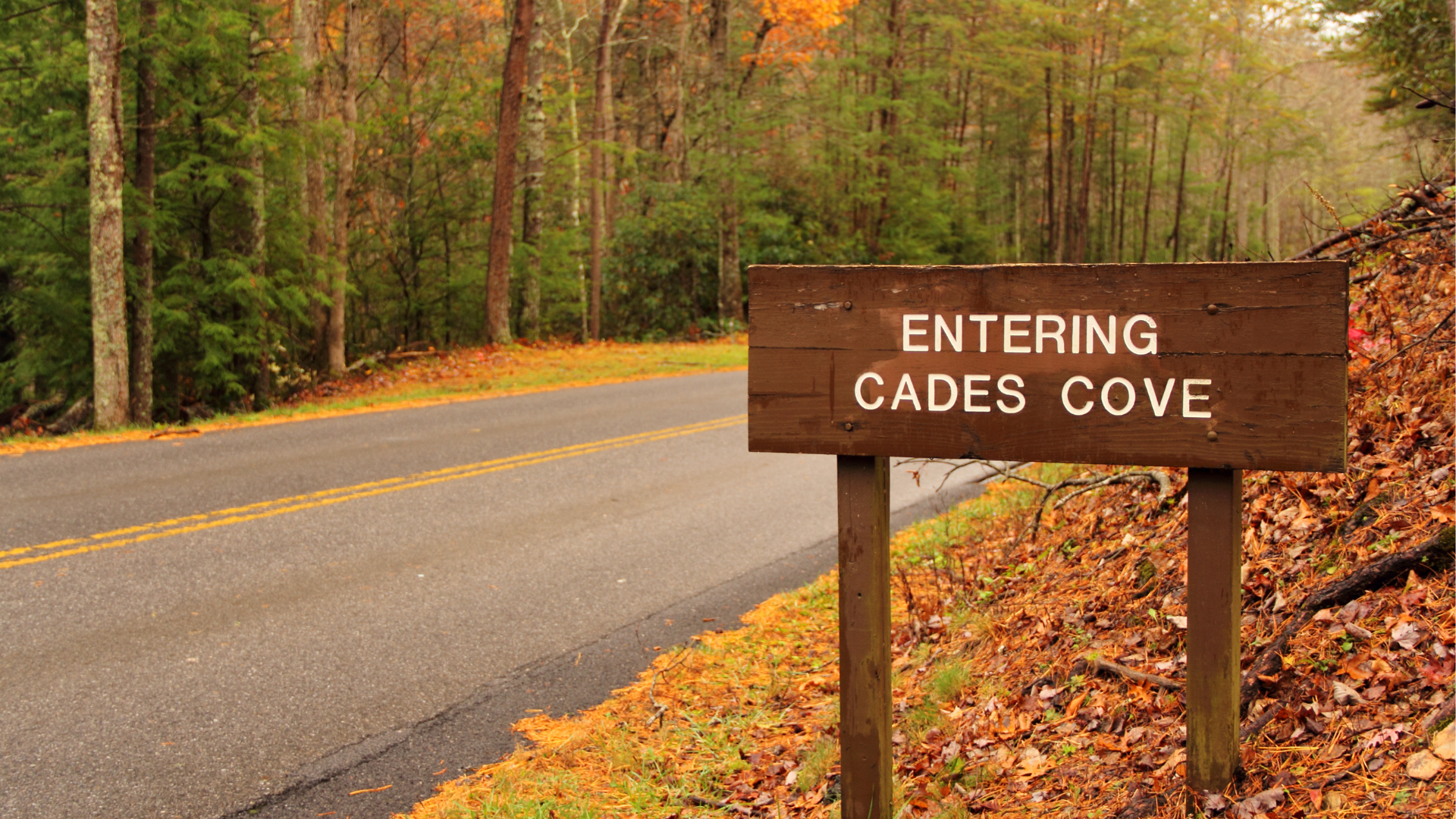 Top 10 Things to do in Cades Cove