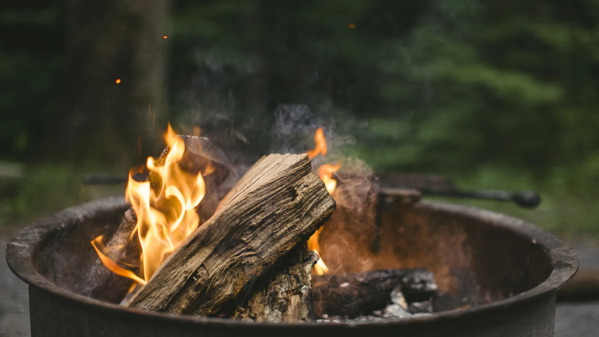 Best Campfire Cooking Gear